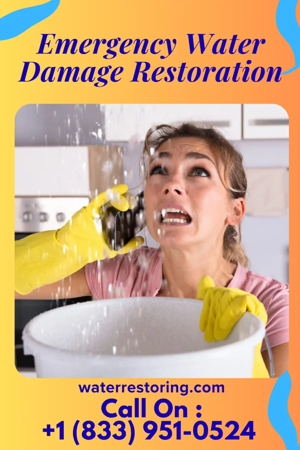 Emergency Water Damage Restoration in Reubens, ID